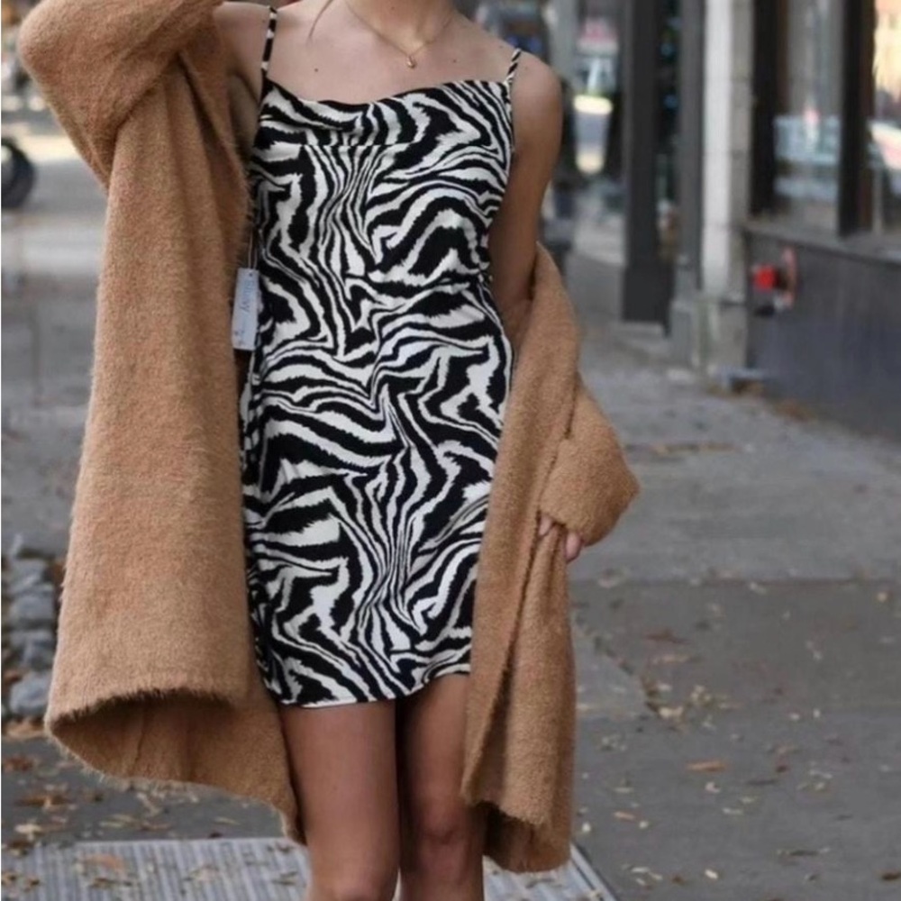 Sans Souci Black and White Zebra Mini Dress